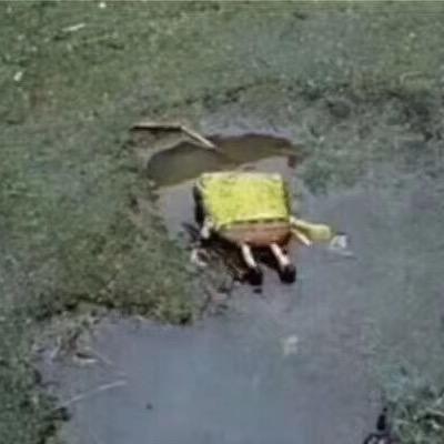 阿伟啊啊啊啊啊