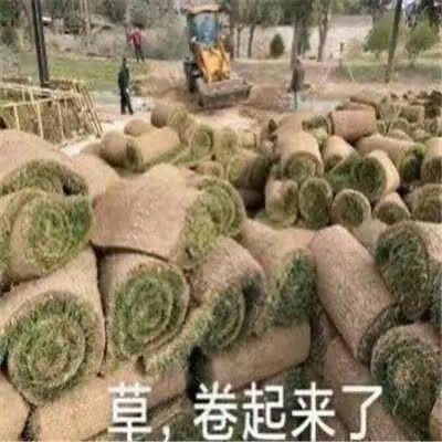 juzi（小三门专业都烂版