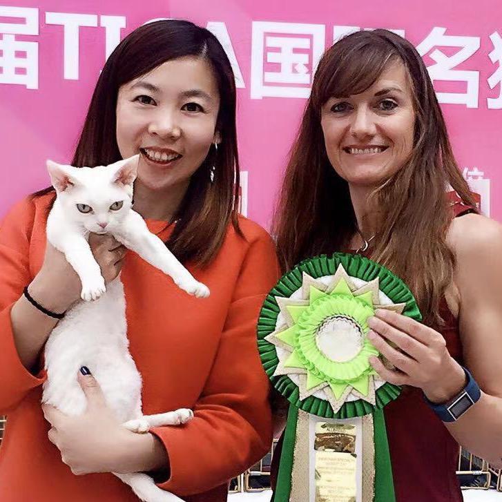 薛有才ZEEMAO青岛德文美短