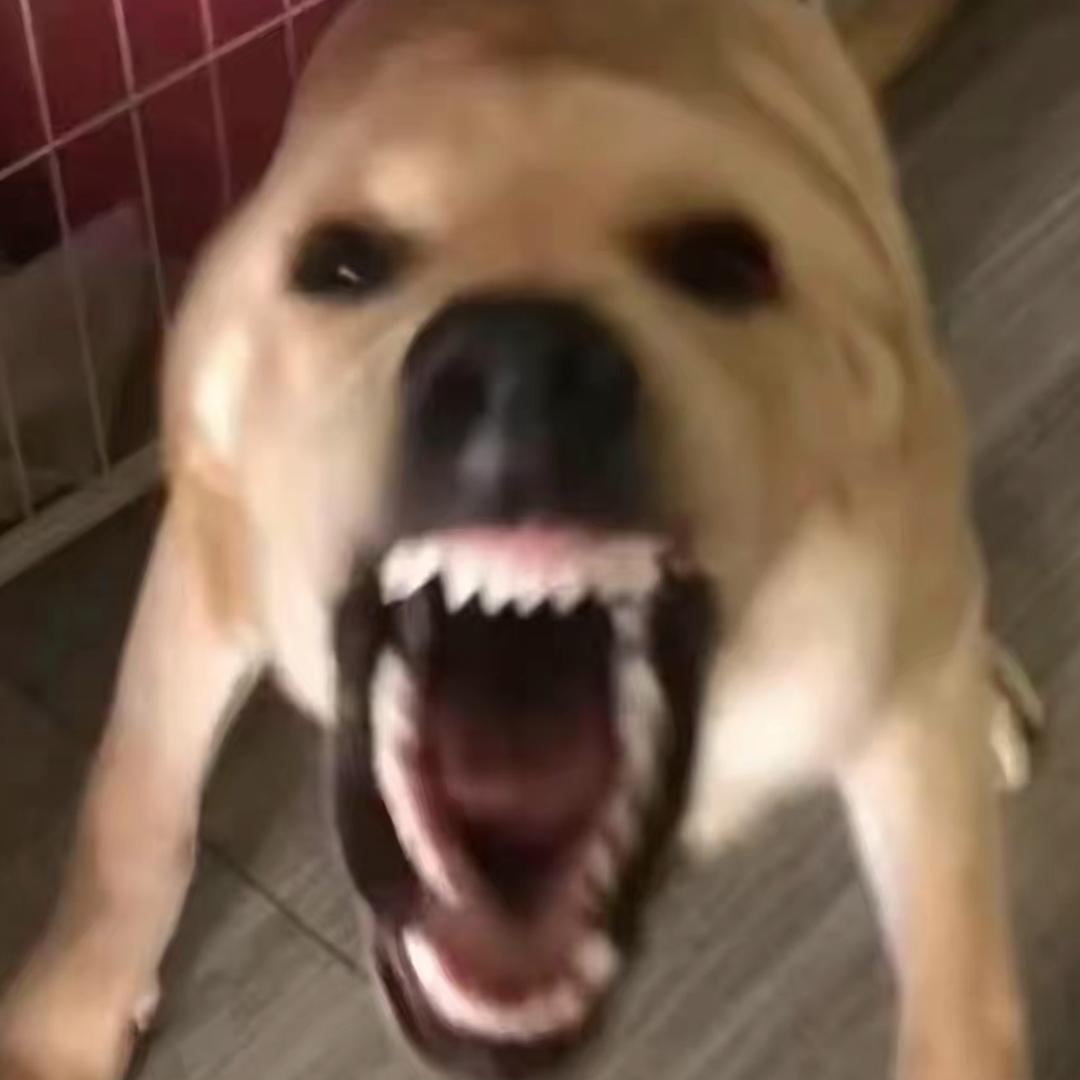 我不困