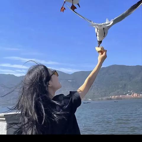 射阳丽丽
