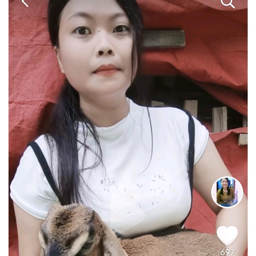 放羊丹姐2