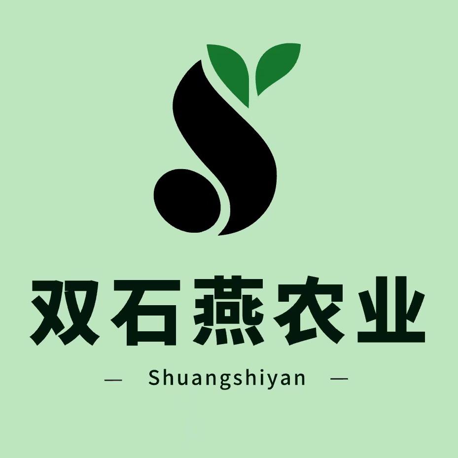 双石燕中药材种植