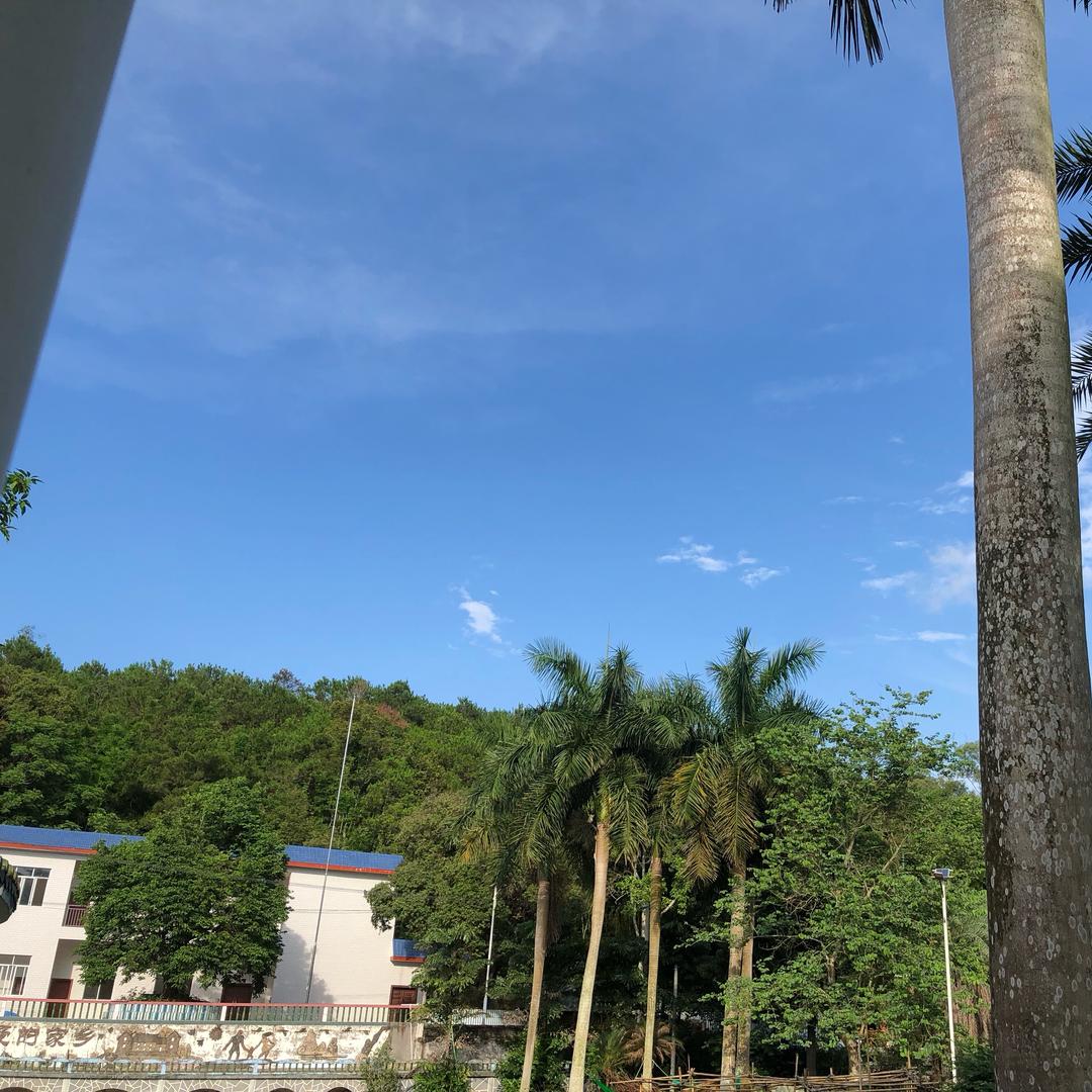 那只是曾经