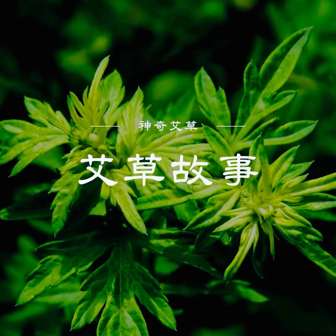蕲艾小镇