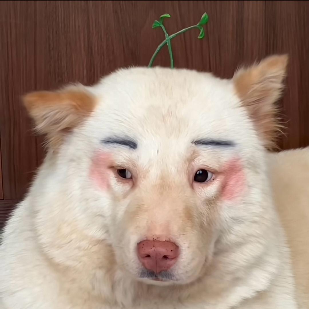 绿化带