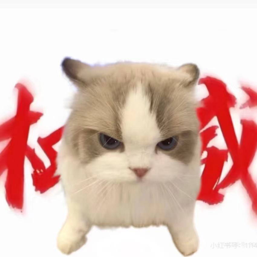 晒骆驼