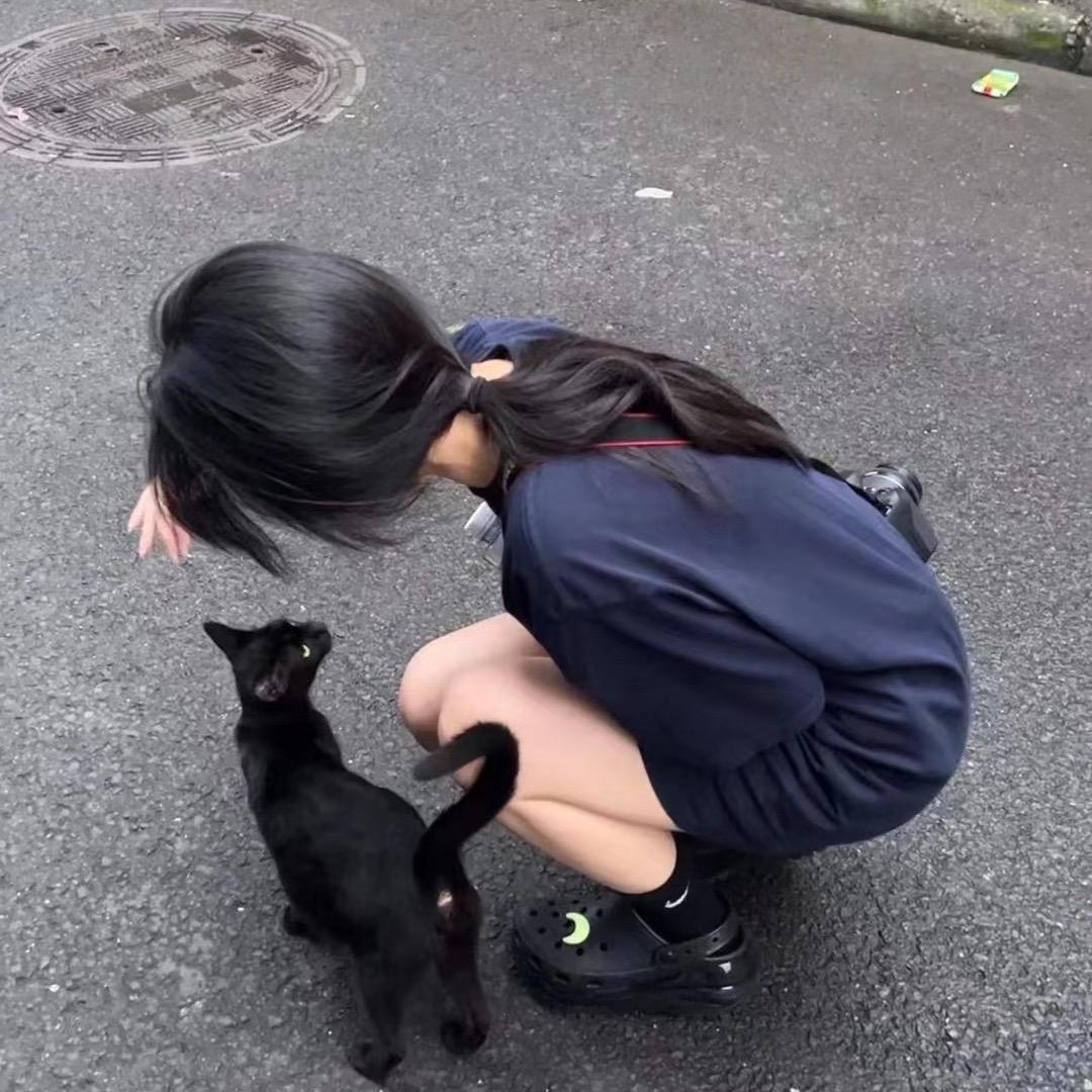 貓和我都很想你