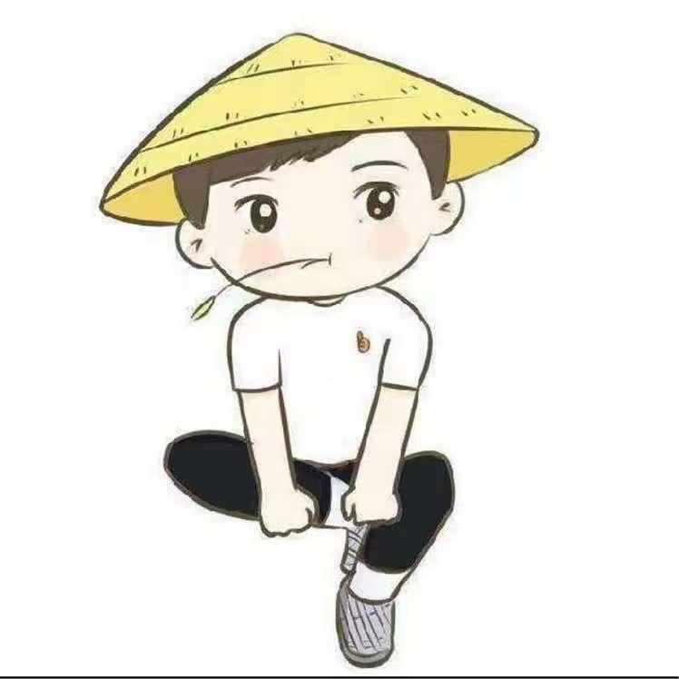 呆呆说搬砖