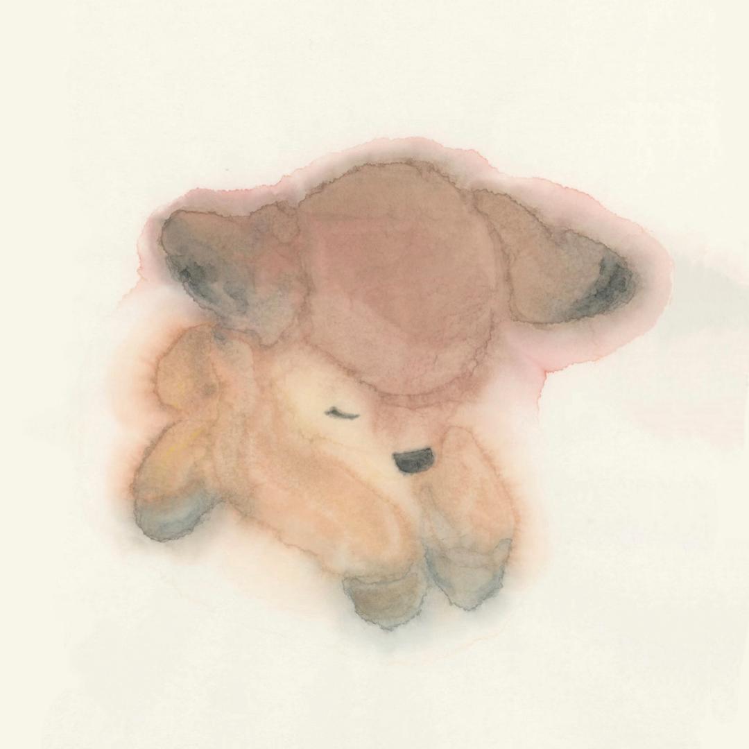 哈尼爱爱爱噜儿