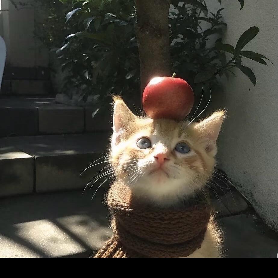 妥妥