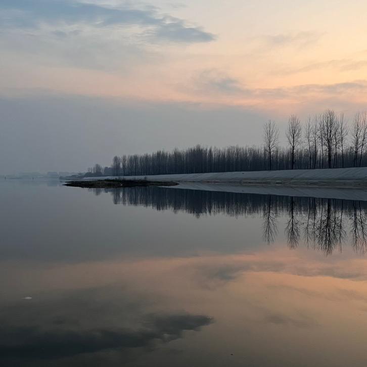 番茄辣椒没牛肉