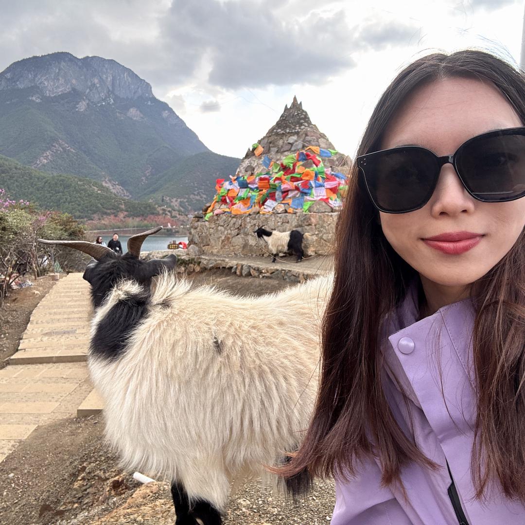 呼呼酷吃小星球