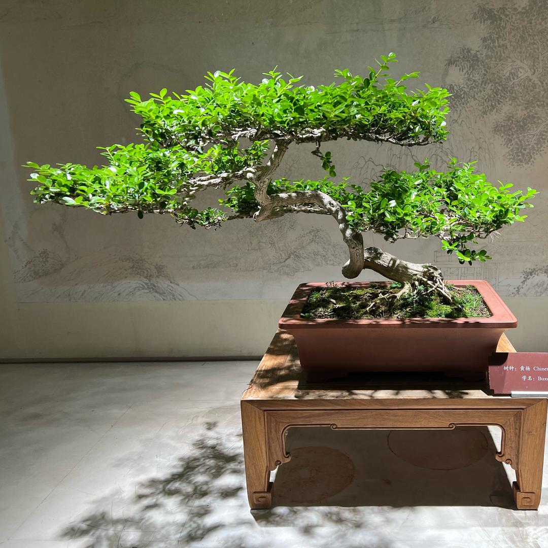 李先东紫砂作坊