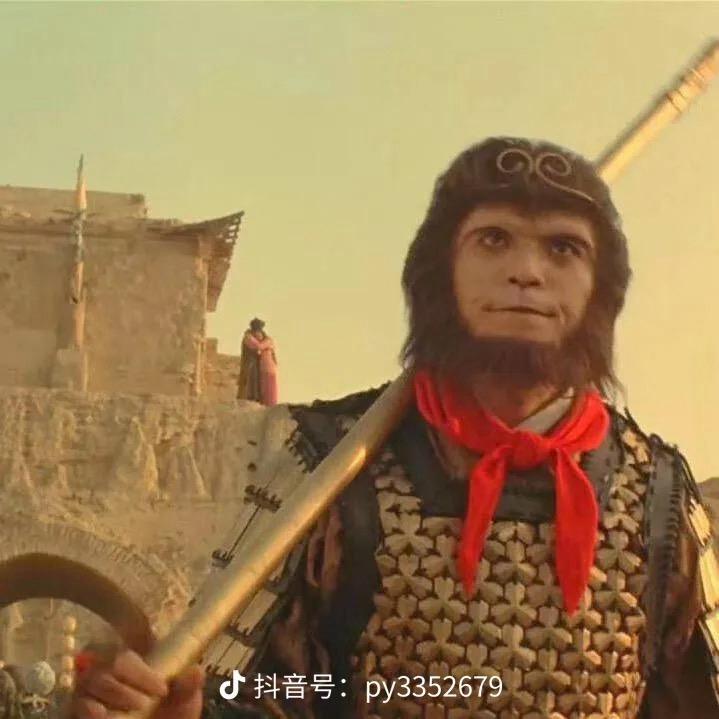 断哥的解忧酒馆