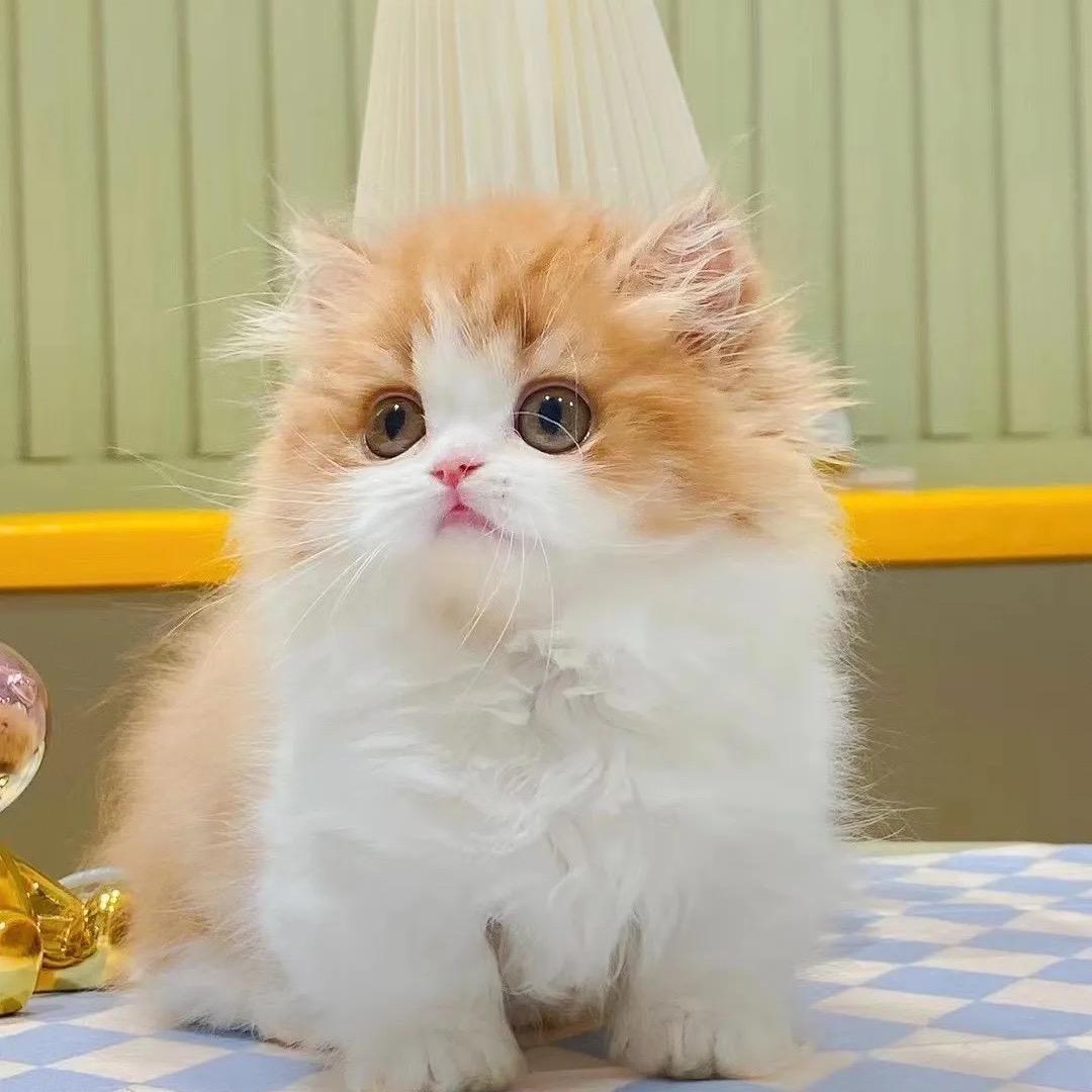 哒哒哒哒哒哒哒哒