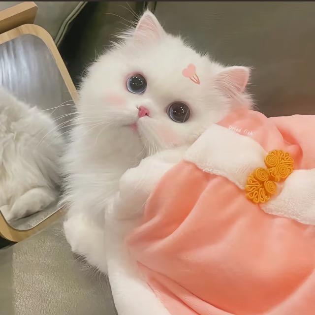 昕昕好物优选