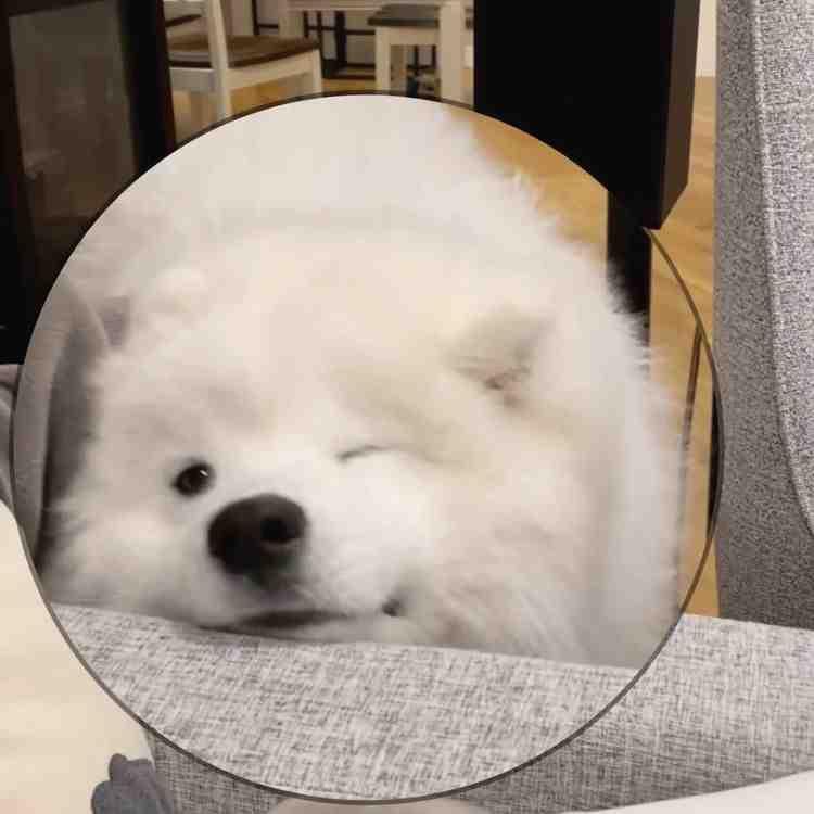小熊不吃辣