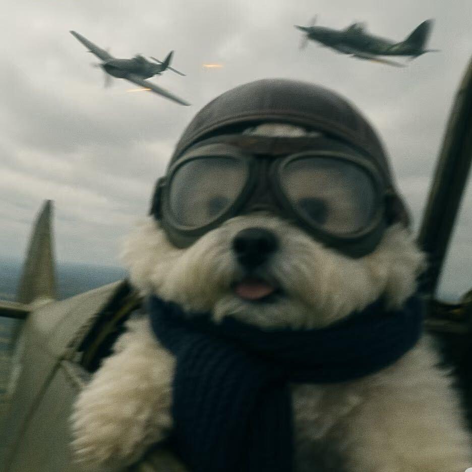 不浪漫亦是罪名.