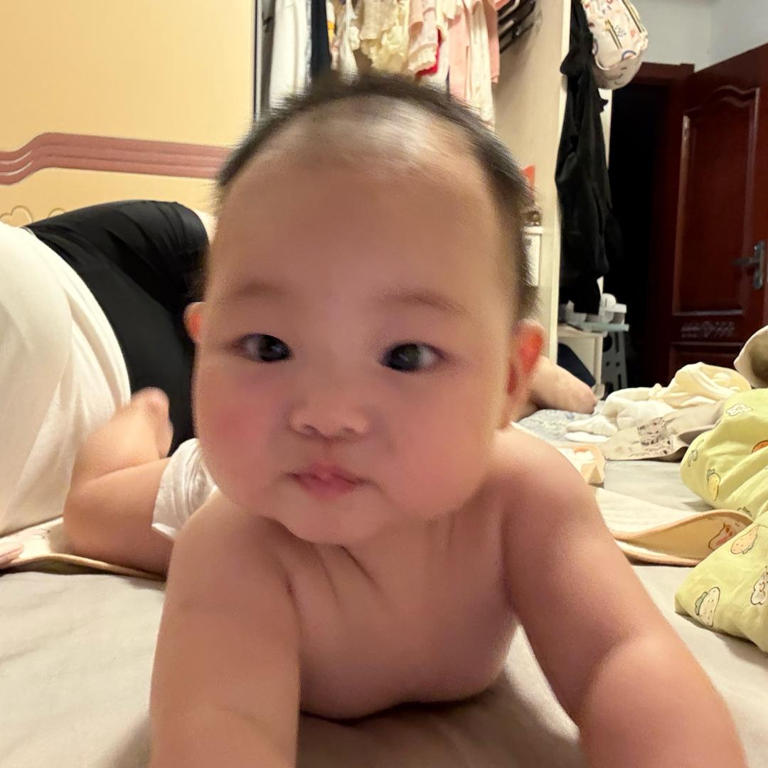 不要和金金计较🫶