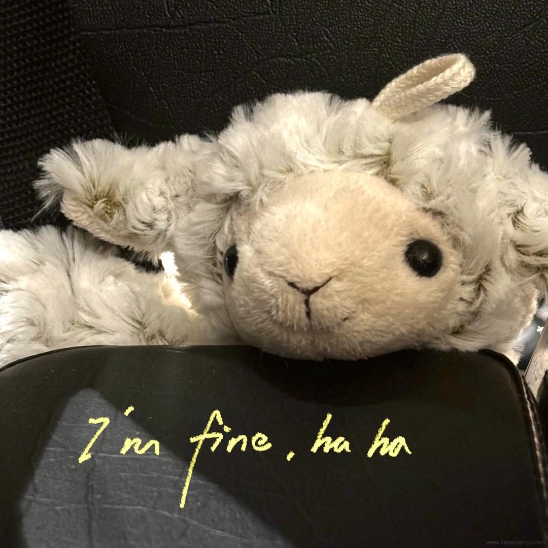 玺烊烊🐑
