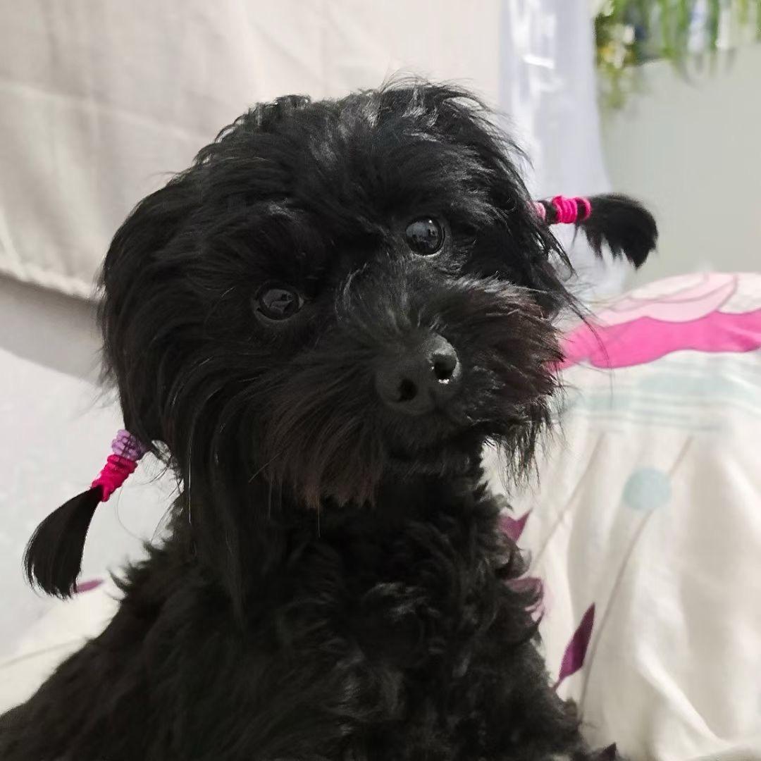 默❤️默
