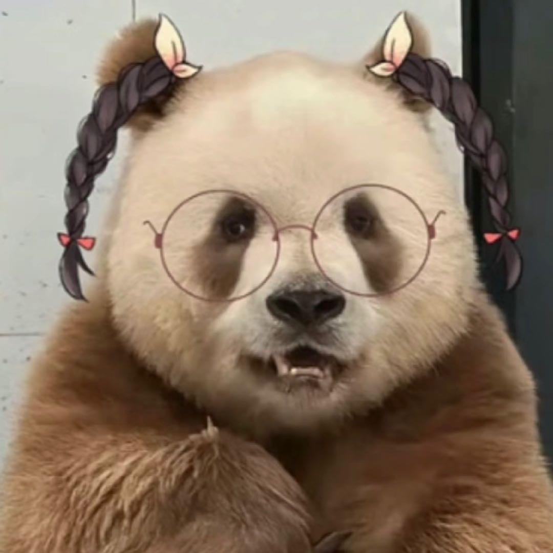 巧克力熊七仔🐼