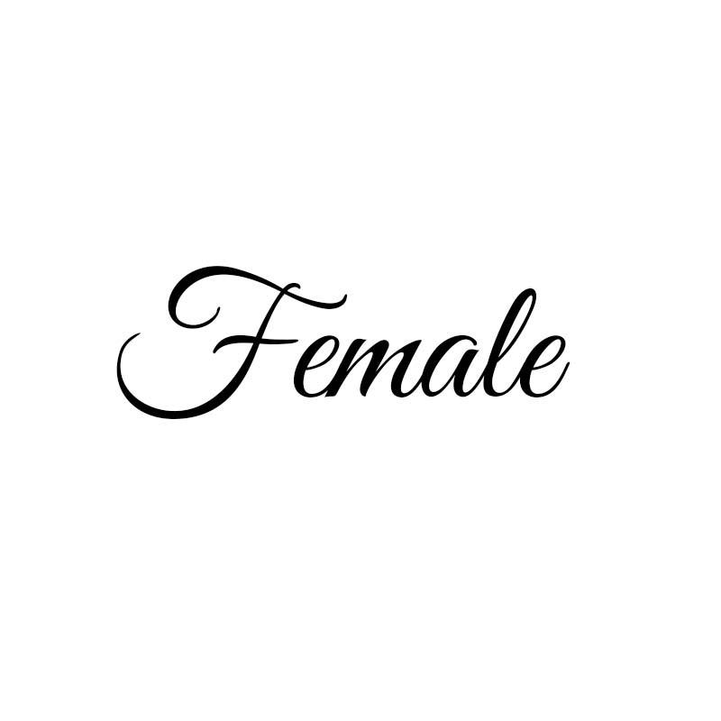 Female内衣店A