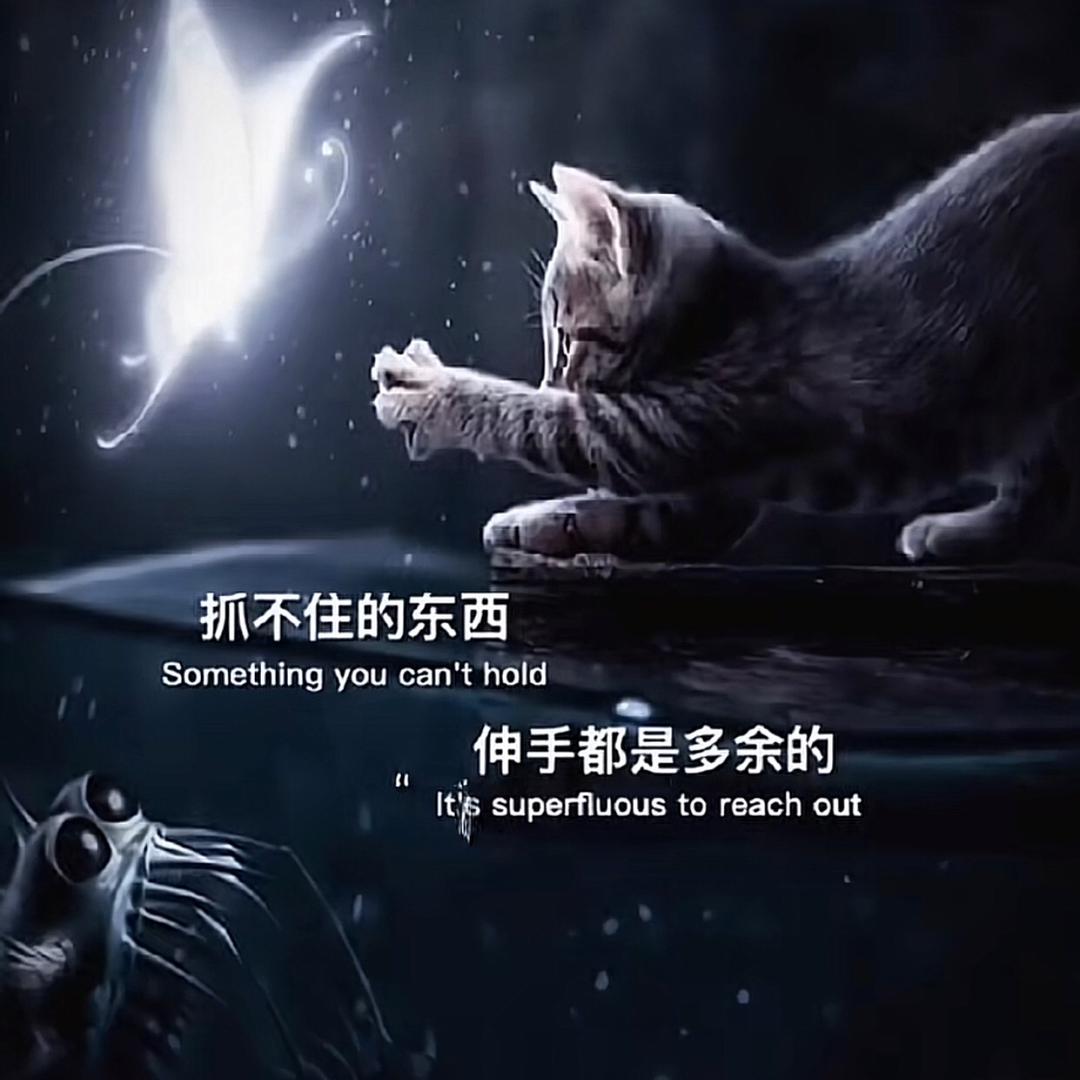 《芹艾德》肉肉