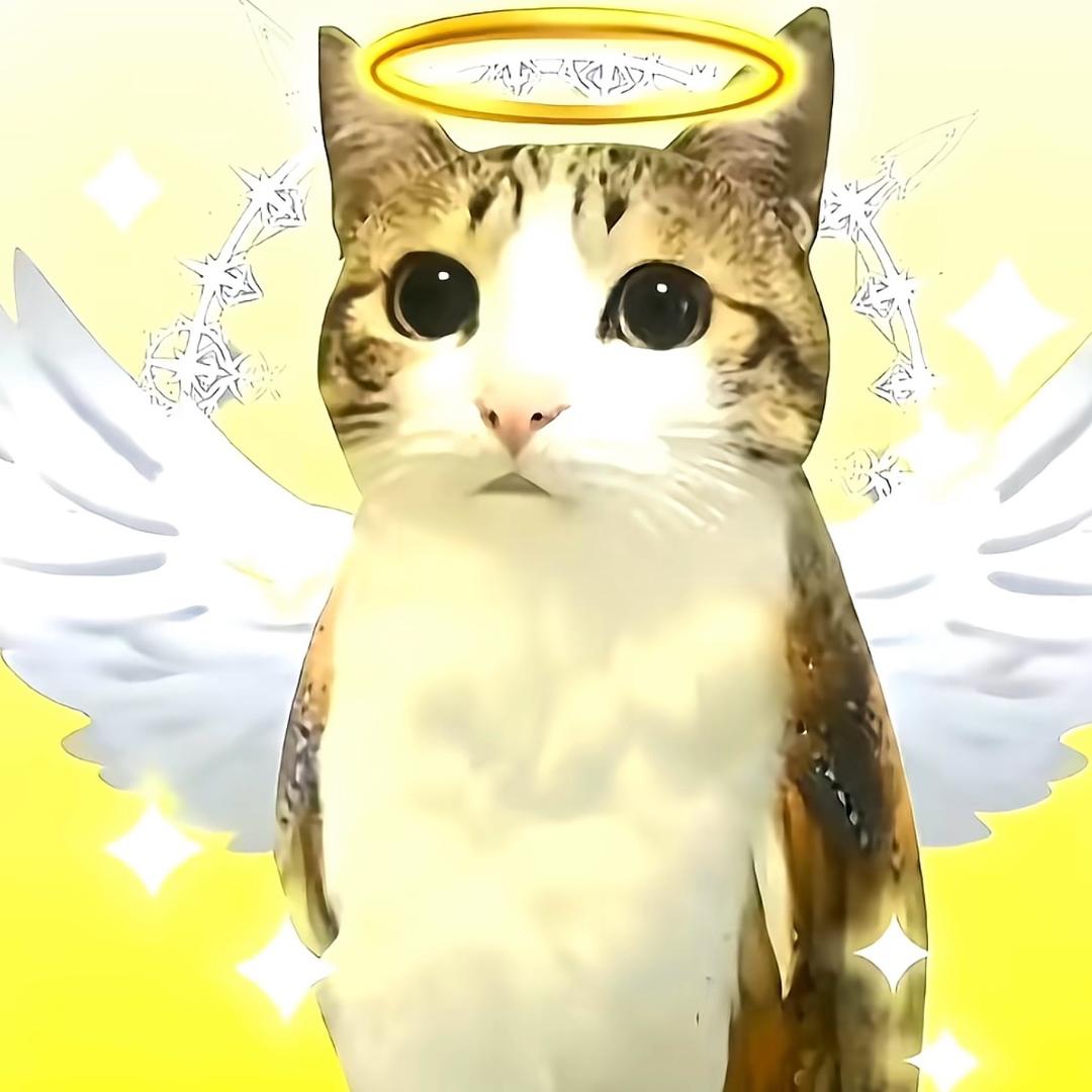 冰冷誓言