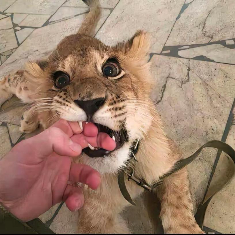 ￰￰ ￰￰ ￰￰￰ -R