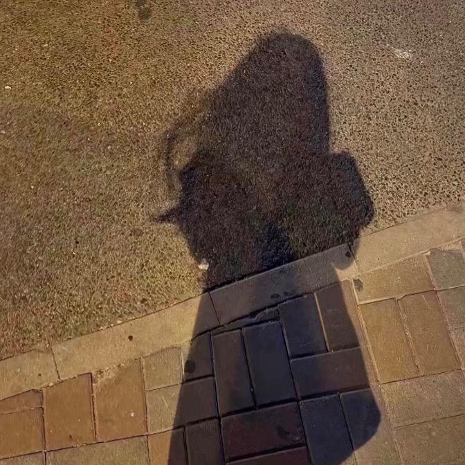 我不温柔💍