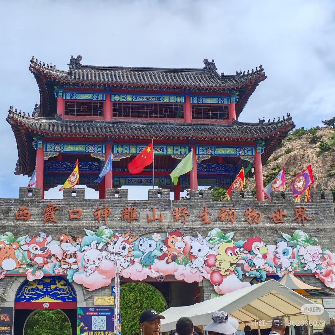冰冰带你游全国