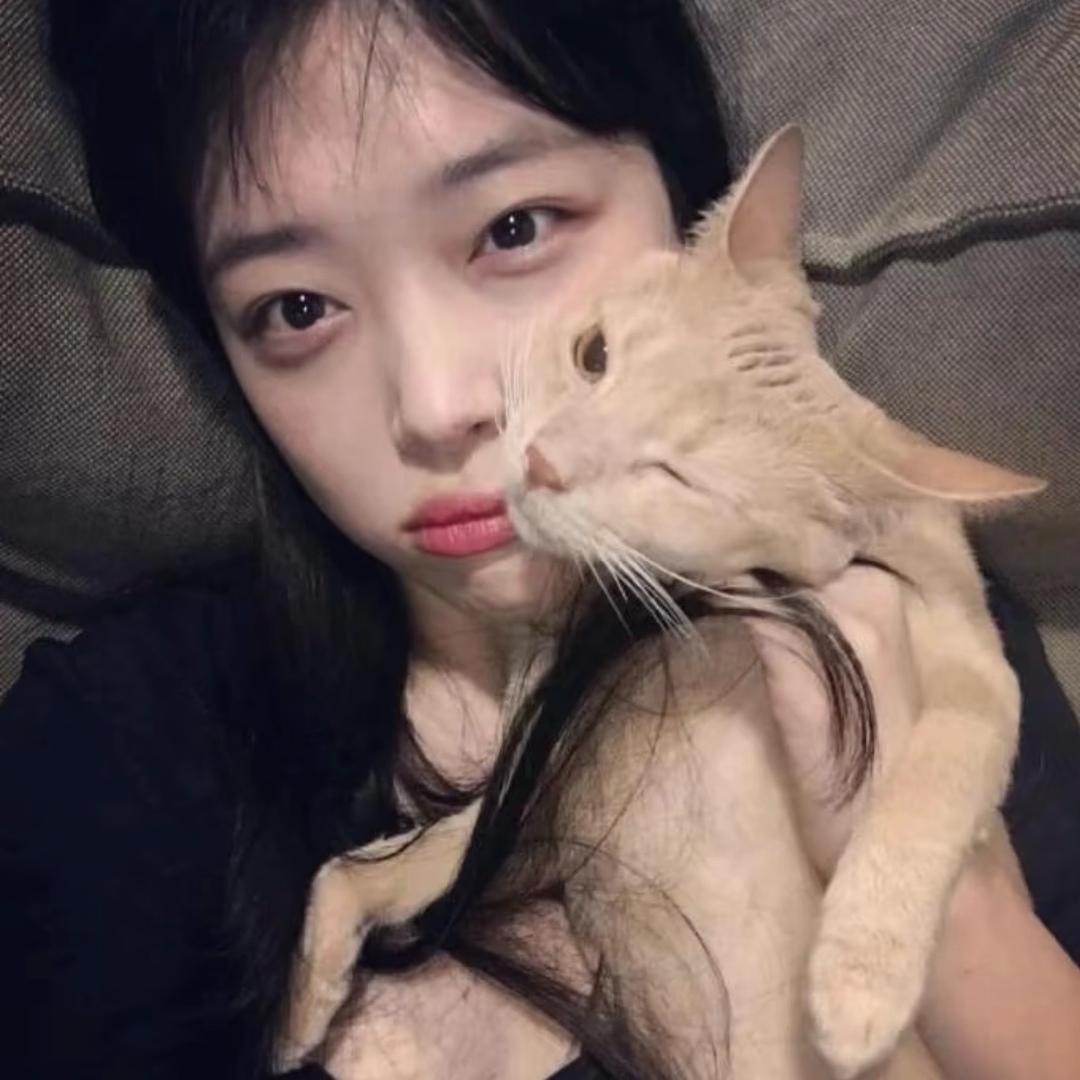 sulli