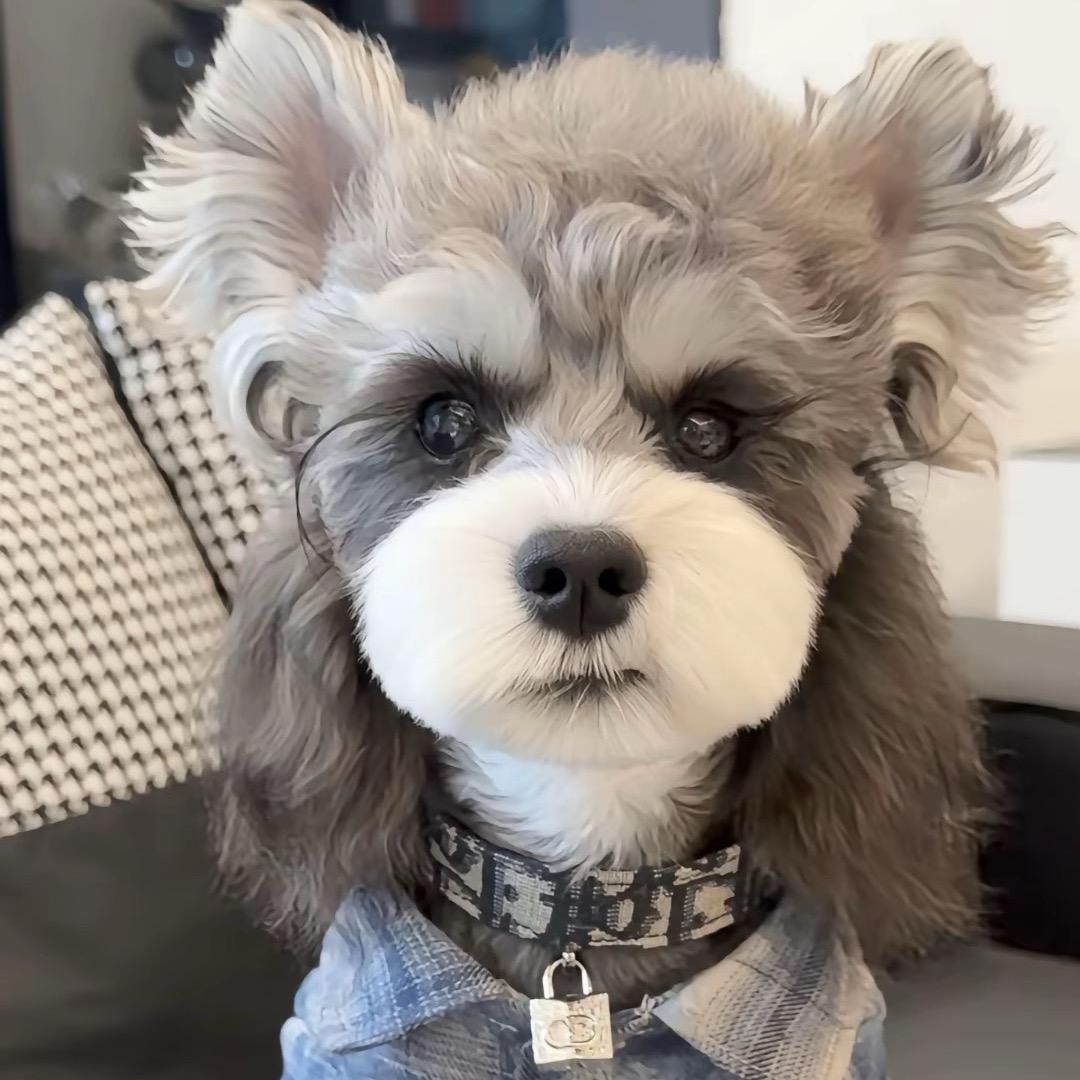 Lllllllllll