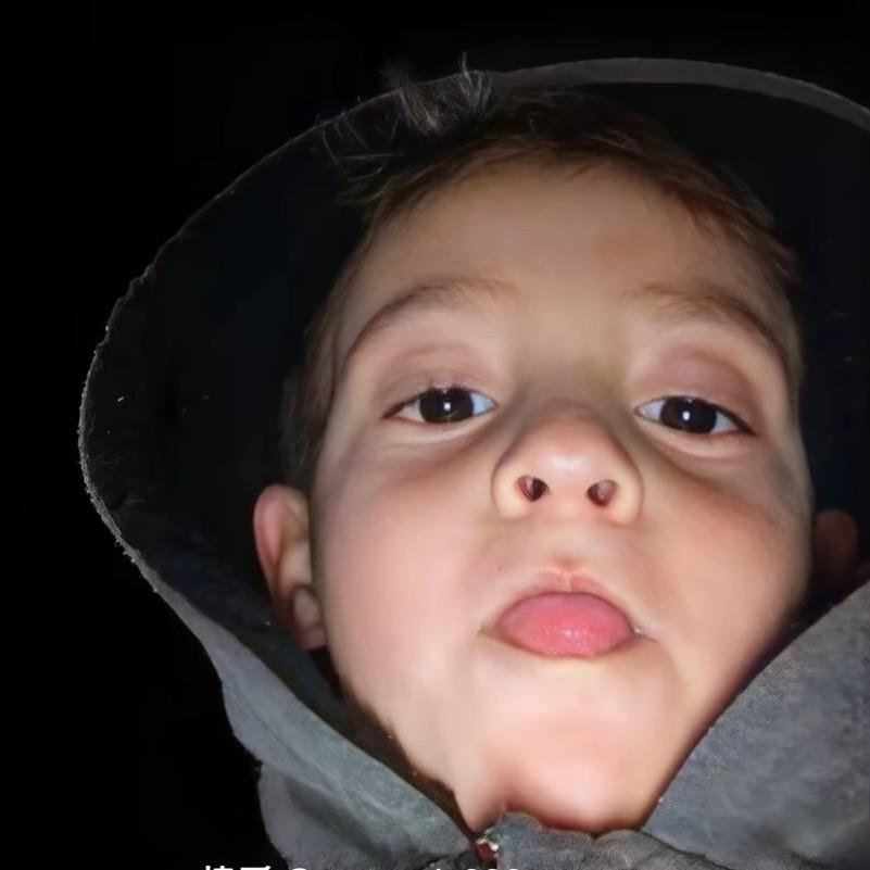 นกอินทรี