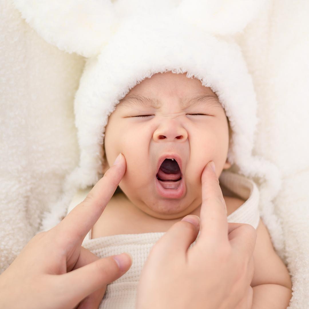 是烁宝吖（自救版）