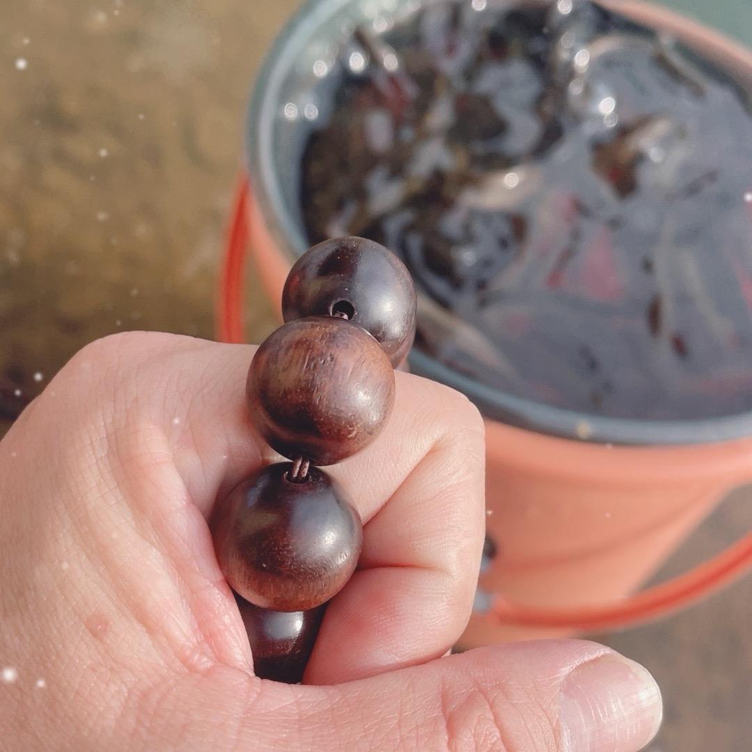 科学放生。日行一善。。