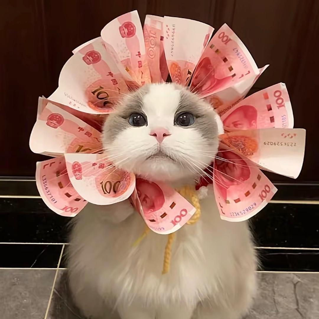 小姐姐