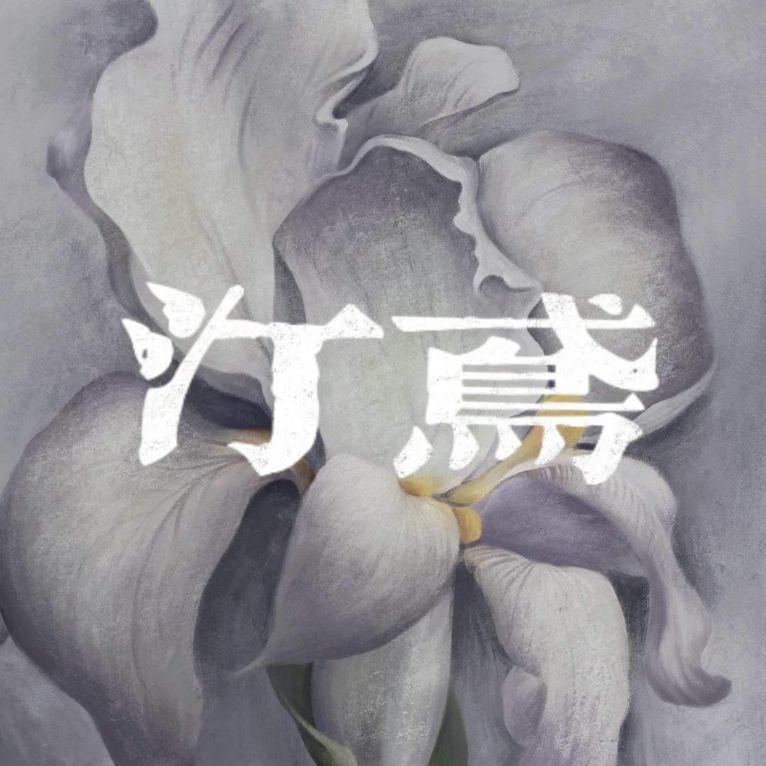 汀鸢