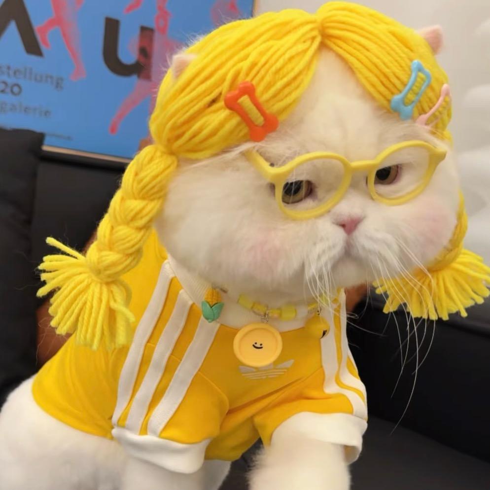 小鱼妹妹77