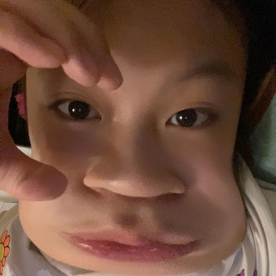 红烧狮子头🦁️