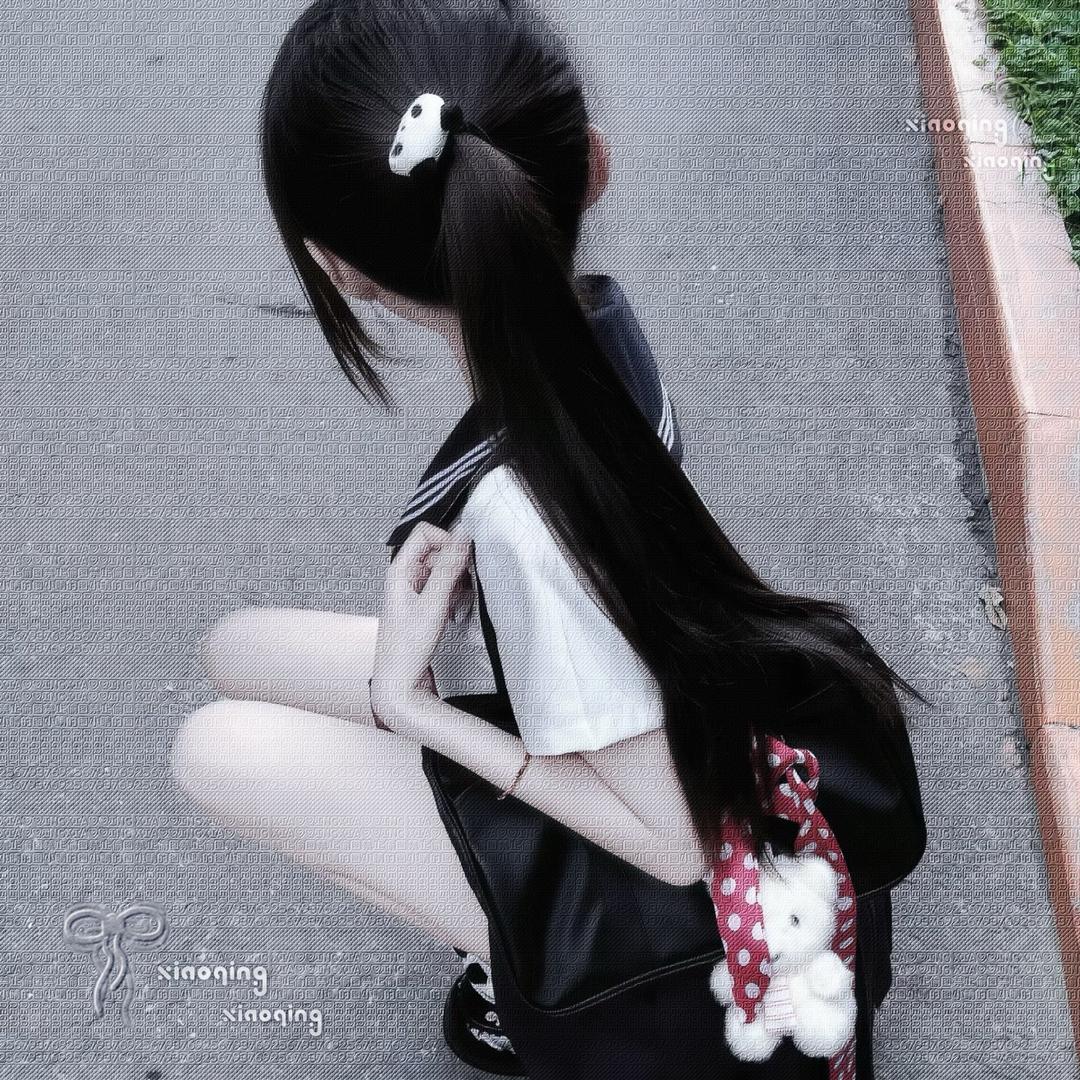 布偶