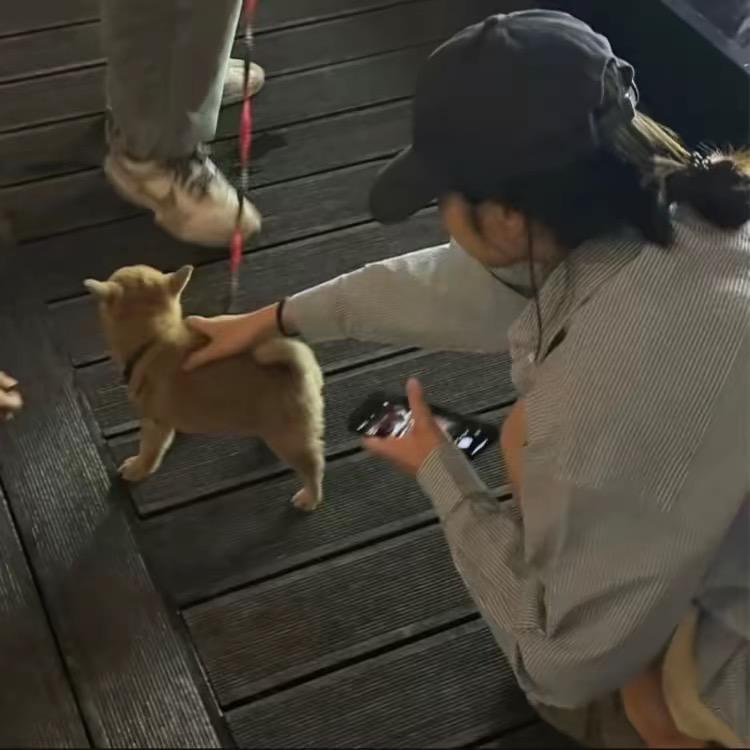 冰～
