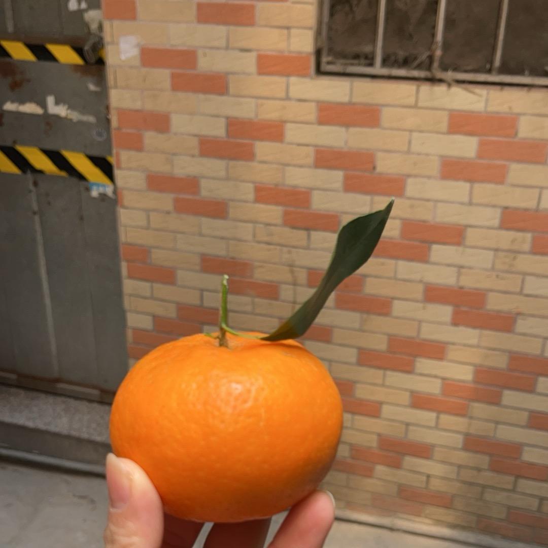 备忘录
