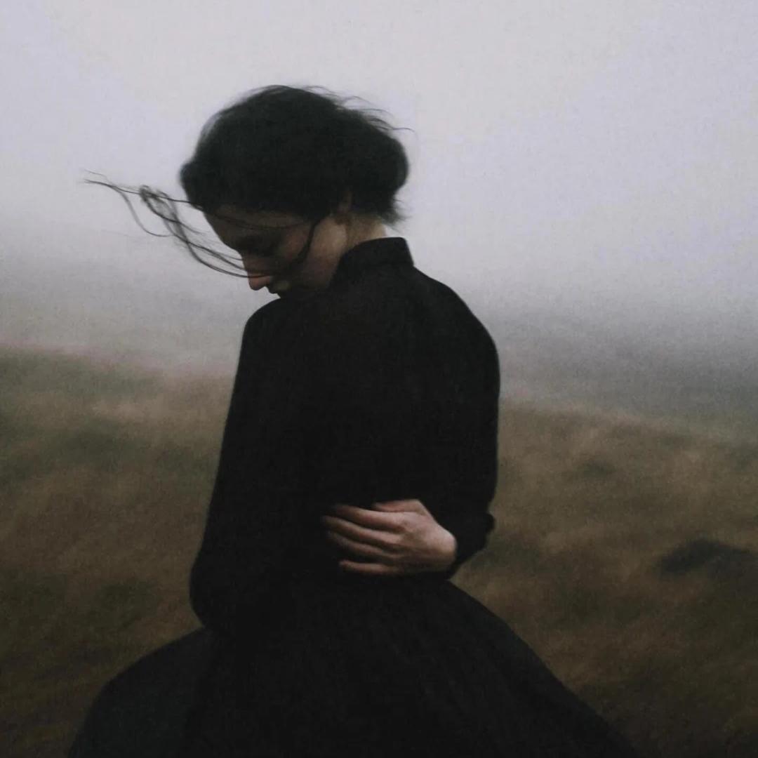 齐司礼的小笨鸟