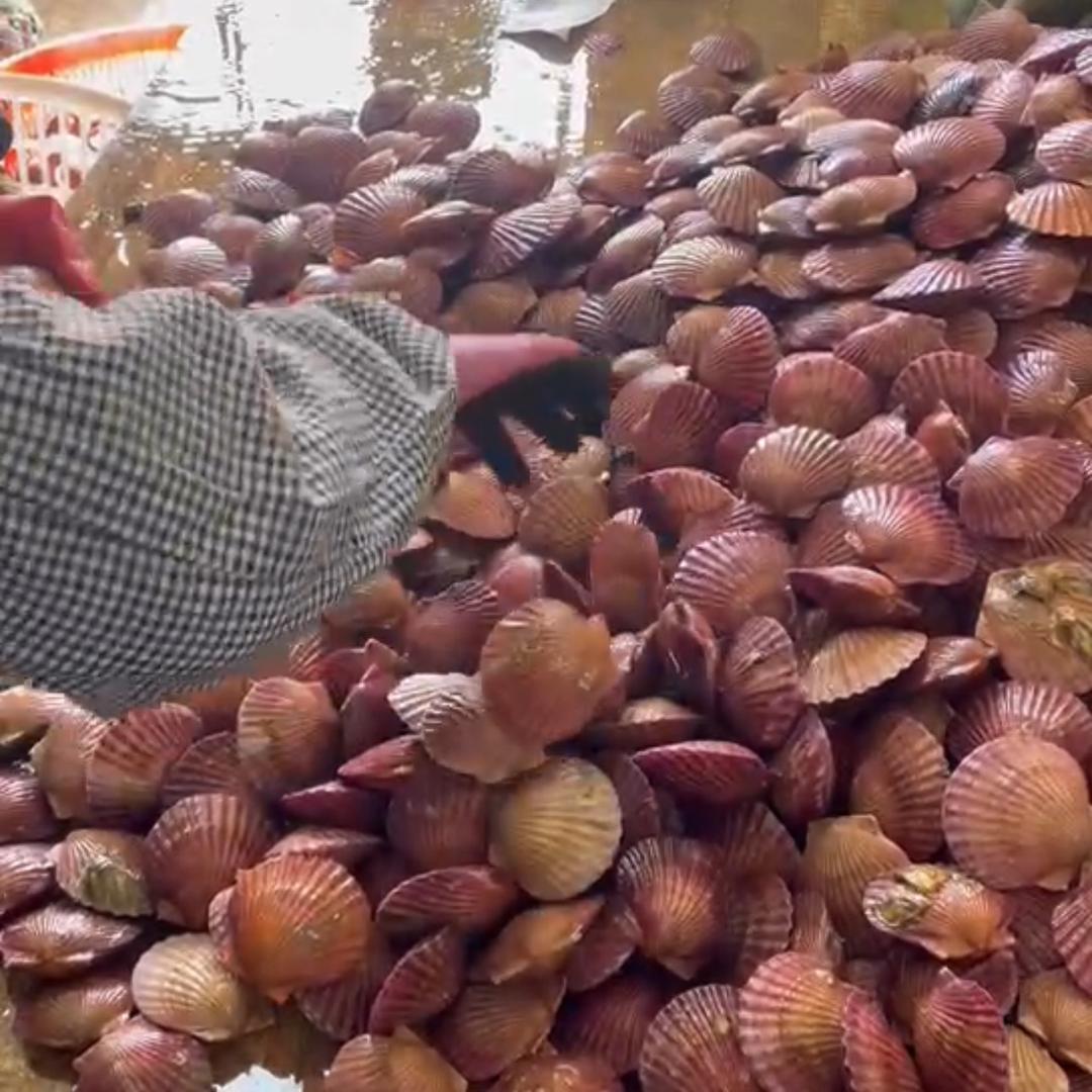 宋小鲜生鲜海货