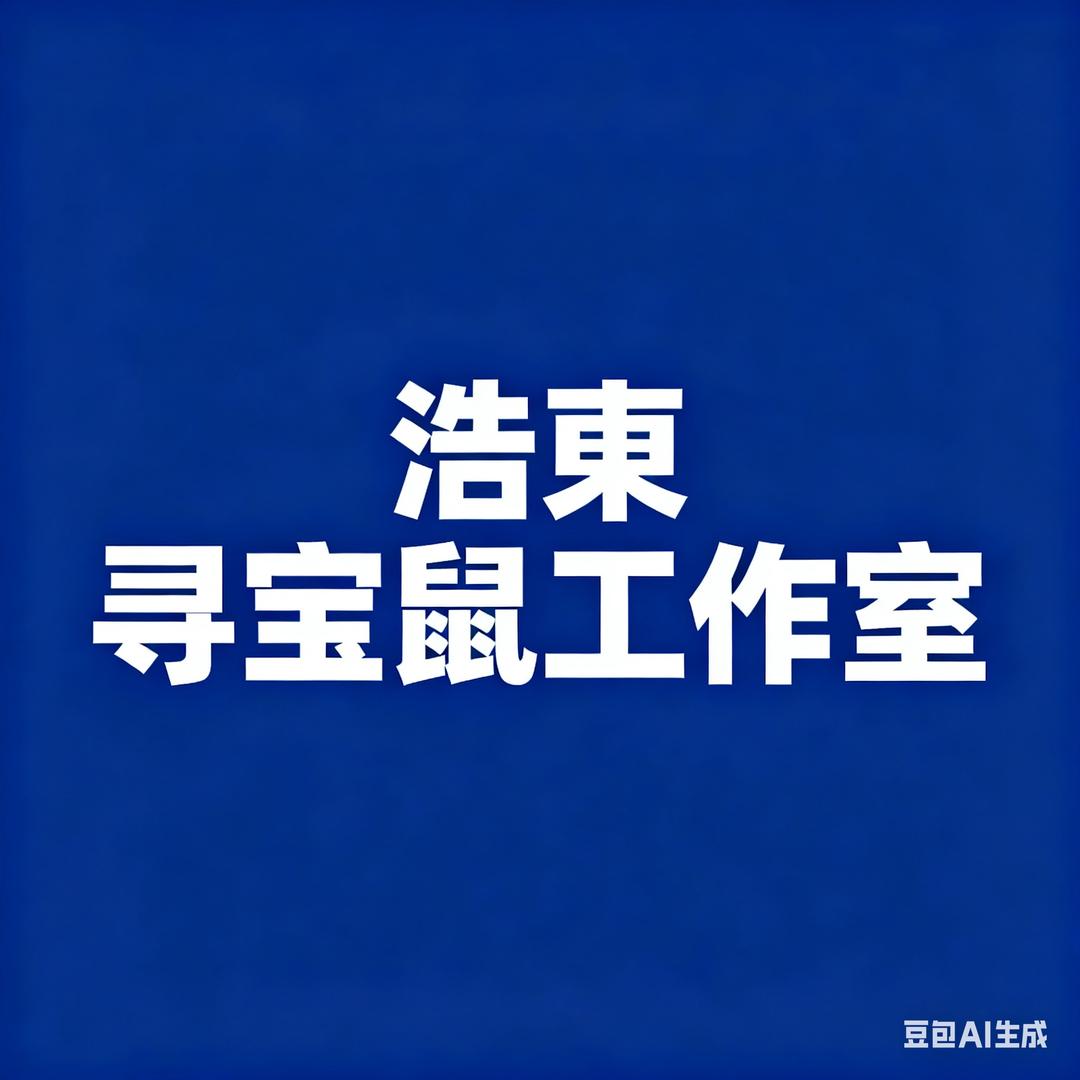 浩東寻宝鼠工作室