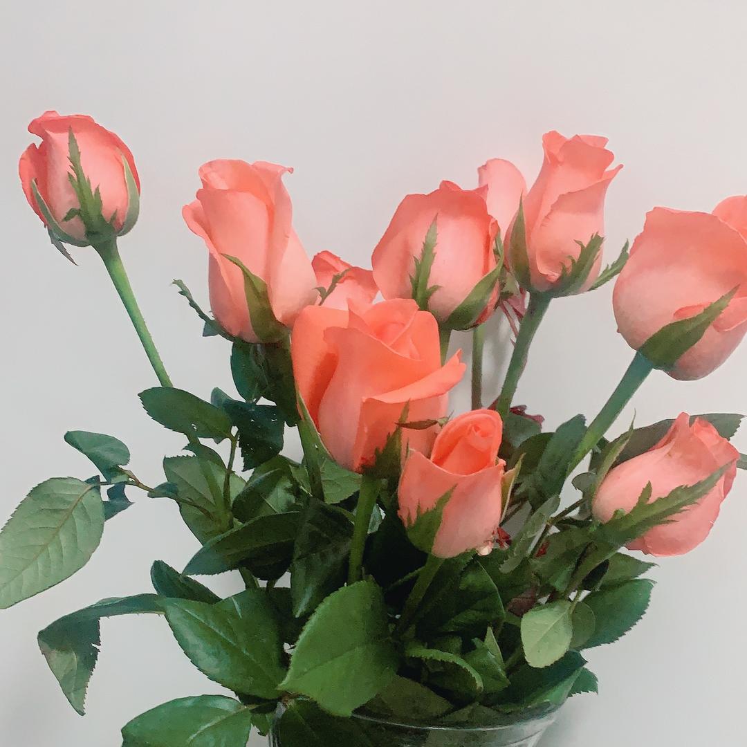 涟水清心家贵阳糯米饭