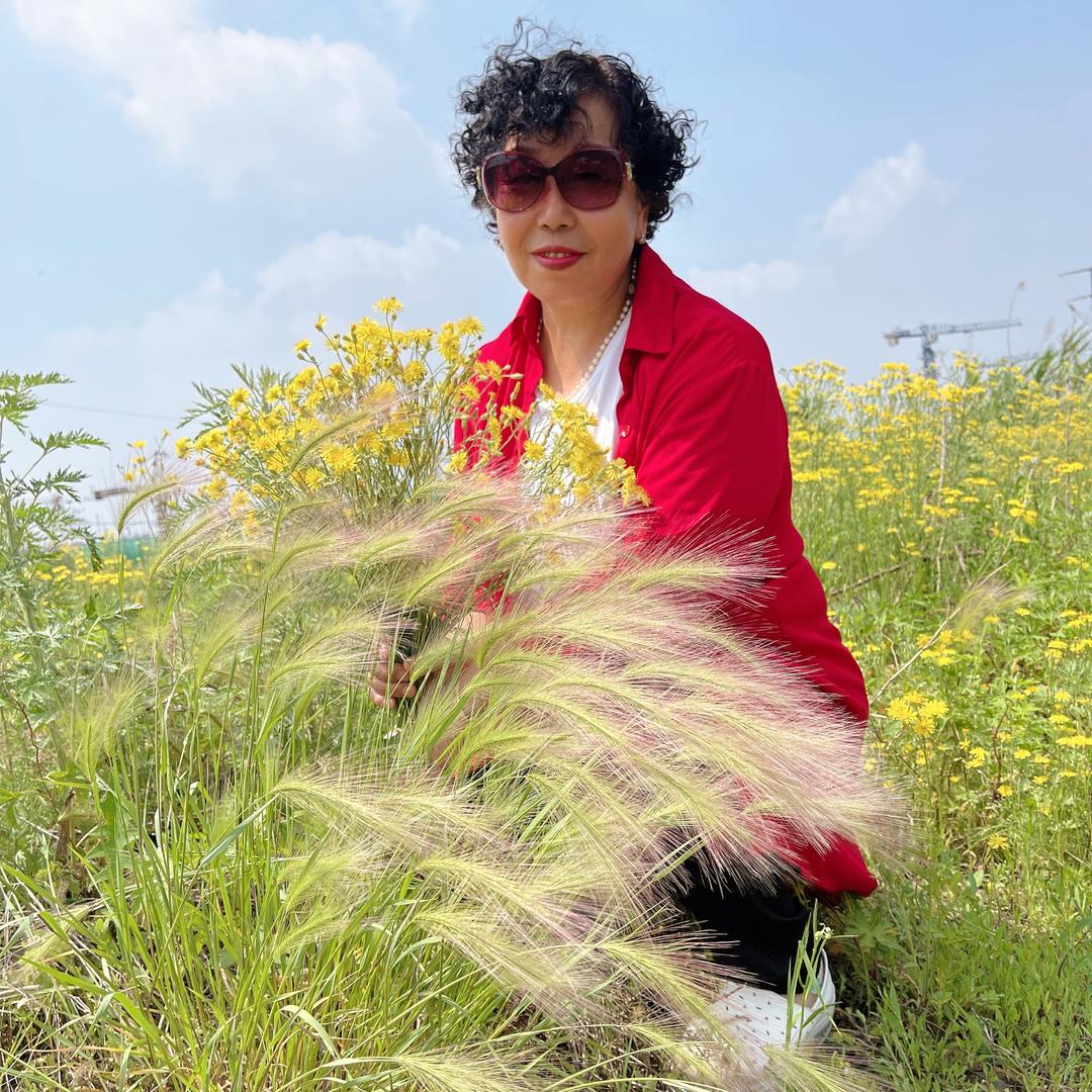 那朵云